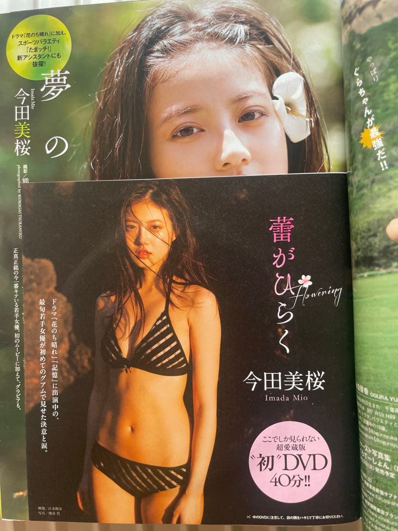週刊 プレイボーイ 2018年 5/14号 [雑誌] 今田美桜DVD未開封
