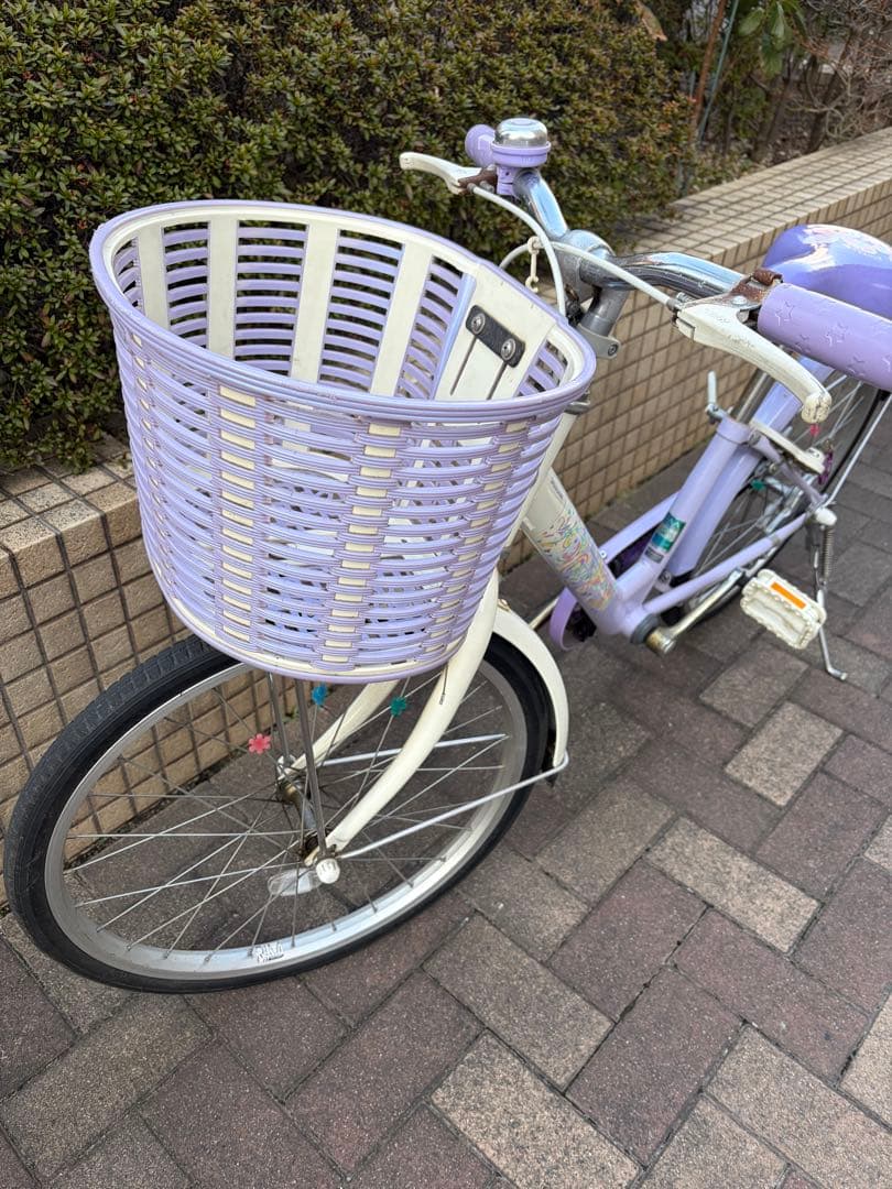 ブリヂストン 20インチ 子供自転車 エコパル Eco Pal 紫