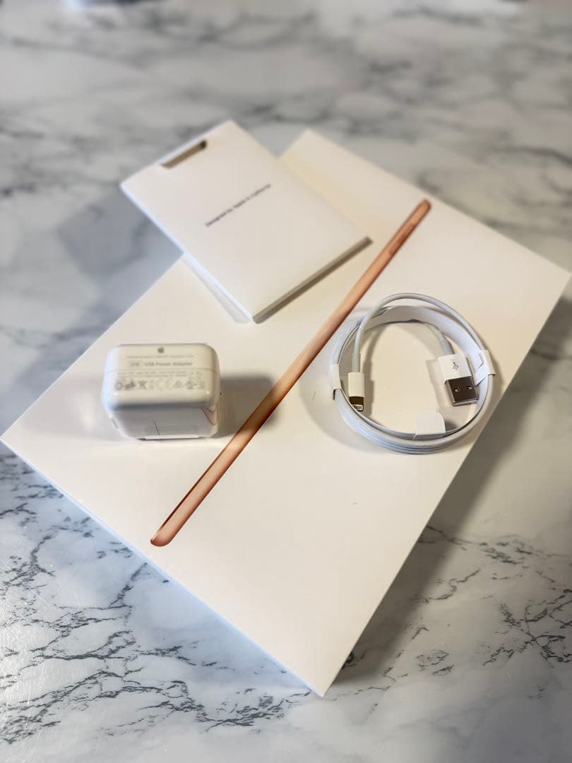 超美品 iPad (第6世代) ゴールド 128GB Wi-Fi 付属品全て有り