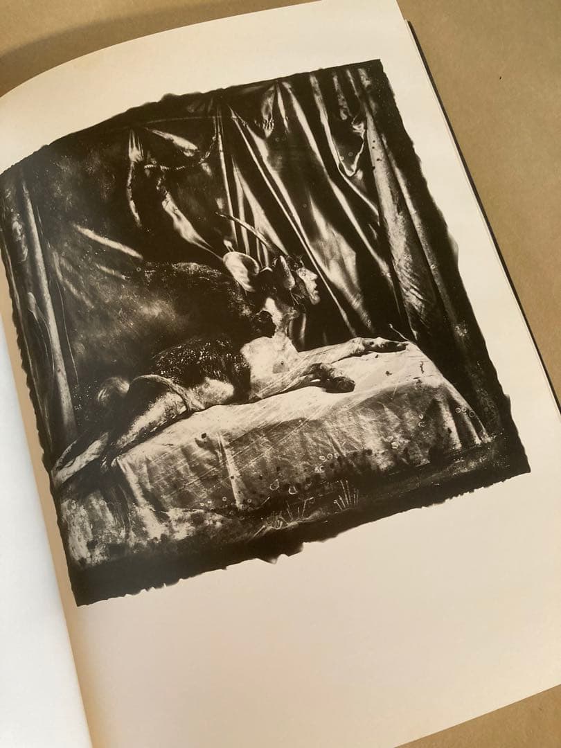 JOEL-PETER WITKIN 　作品集　独創　身体部分　醜美　図版